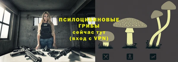 ECSTASY Кукмор