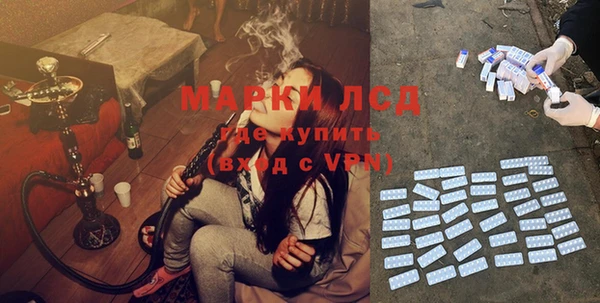ECSTASY Кукмор