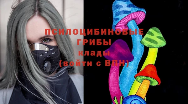 ECSTASY Кукмор