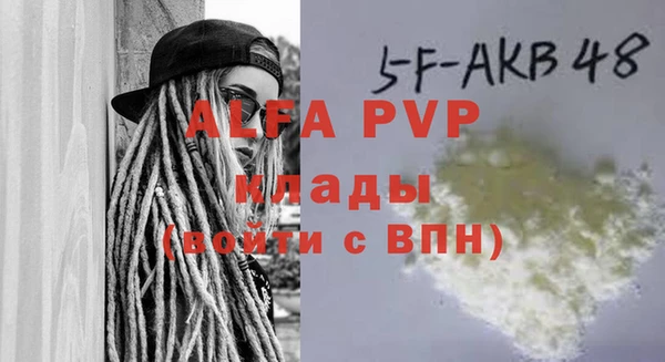 ECSTASY Кукмор