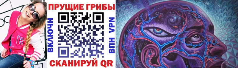 Купить  Лихославль  Галлюциногенные грибы ЛСД 